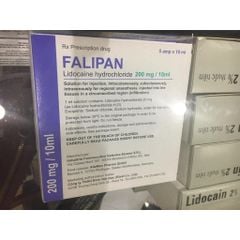 Falipan (Hộp*5 Ống)