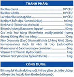 N-Biotech - Bào tử lợi khuẩn LactominZ hộp 6 vỉ x 10 viên