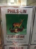L-Cystine Phils-Lin