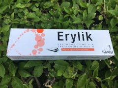 Erylik
