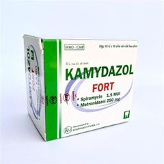 Kamydazol - Hộp 100v - KH