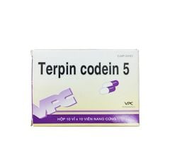 Thuốc điều trị ho Terpin Codein 5 VPC hộp 10 vỉ x 10 viên nang cứng