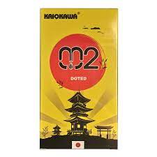 BAO CAO SU KAIOKAWA 002