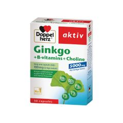 Thực phẩm bảo vệ sức khỏe Ginkgo + Vitamin B + Choline