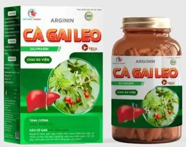 Cà gai leo Việt Nhật hỗ trợ tăng cường chức năng gan, giảm vàng da mẩn ngứa
