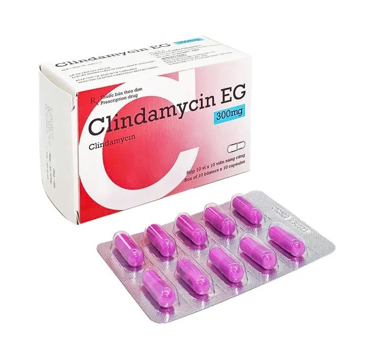 Clindamycin 300mg EG Pyme (H/100v) – Thuốc kháng sinh trị nhiễm khuẩn hiệu quả