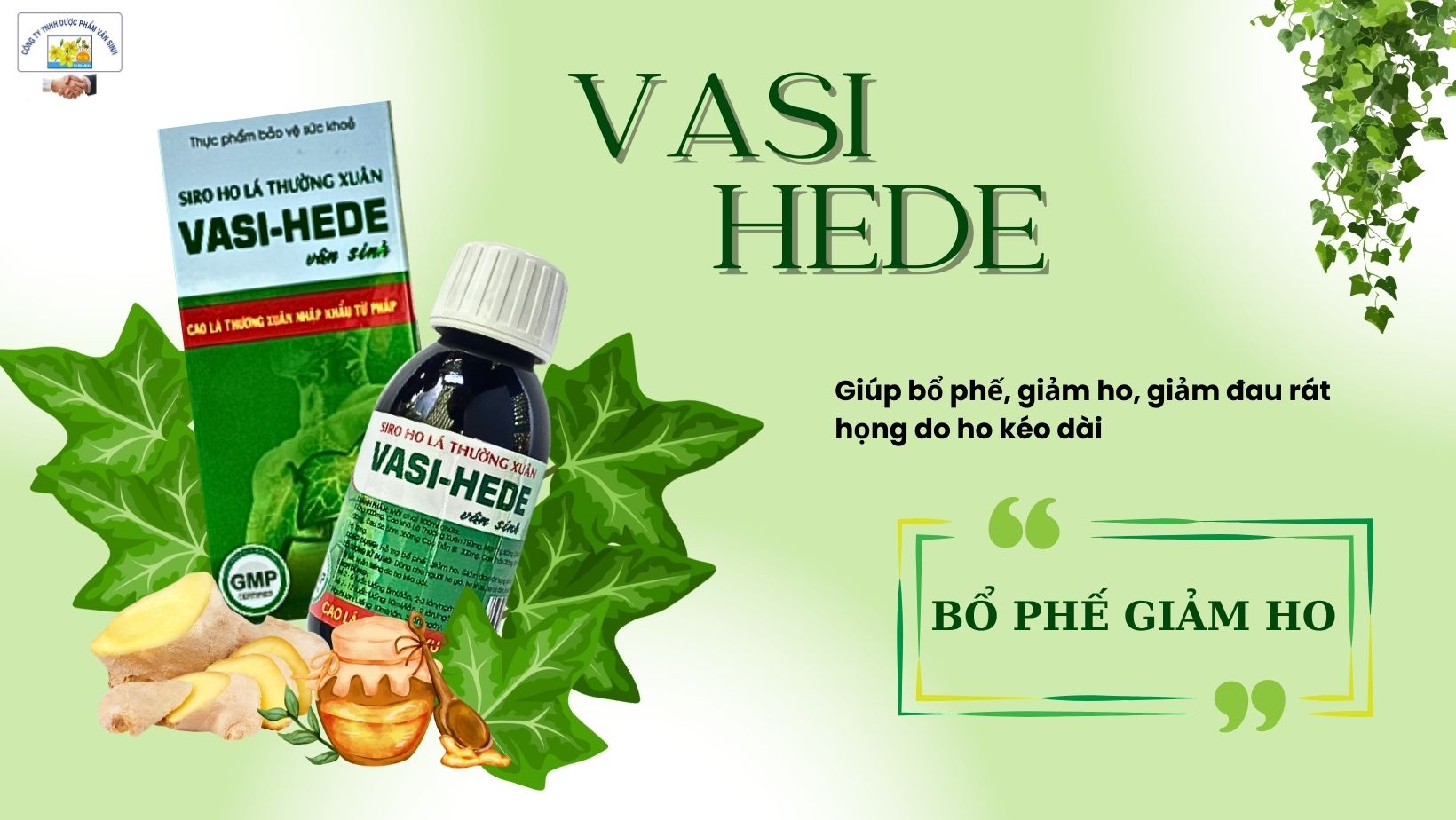 Siro ho lá thường xuân VASI-HEDE Vân Sinh - Cao lá thường xuân nhập khẩu từ pháp - hỗ trợ bổ phế, giảm ho, giảm đau rát (Hộp 1 chai x 100ml)