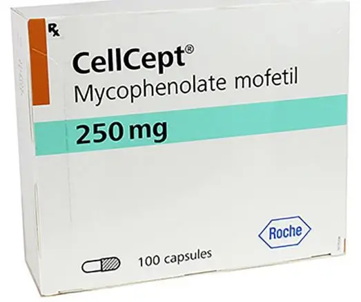 Thuốc CellCept điều trị dự phòng thải ghép trên bệnh nhân mới ghép dị thận