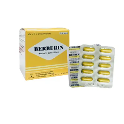 Thuốc hỗ trợ điều trị tiêu chảy BERBERIN - Berberin clorid 100mg (Hộp 10 vỉ x10 viên)